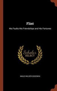 Produktbild: Flint