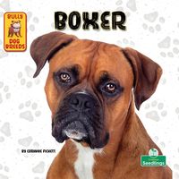 Produktbild: Boxer