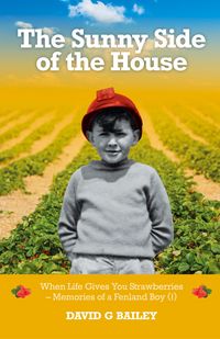 Produktbild: The Sunny Side of the House