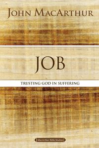 Produktbild: The Job