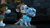 PAW Patrol: Cat Pack Rescues