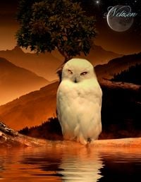 Produktbild: Fantasy Notizbuch: Schneeeule - wei&szlig;e Seiten mit Eckmotiv