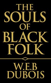 Produktbild: The Souls of Black Folk