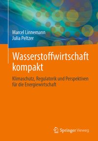 Produktbild: Wasserstoffwirtschaft kompakt