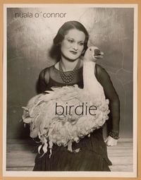 Produktbild: Birdie