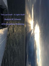 Produktbild: The Last Graft - A Light Shaft