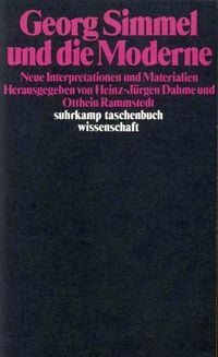 Produktbild: Georg Simmel und die Moderne