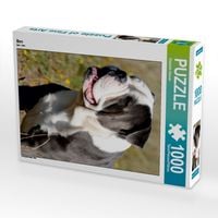Produktbild: CALVENDO Puzzle Ben | 1000 Teile Lege-Gr&ouml;&szlig;e 64x48cm Foto-Puzzle f&uuml;r gl&uuml;ckliche Stunden