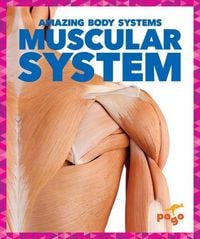 Produktbild: Muscular System