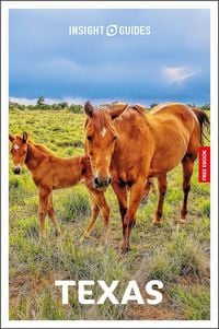 Produktbild: Insight Guides Texas: Travel Guide with eBook