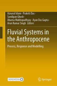 Produktbild: Fluvial Systems in the Anthropocene