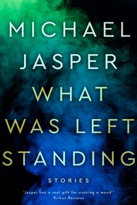 Produktbild: What Was Left Standing (Story Collections, #3)