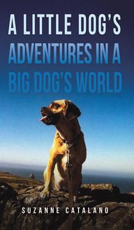 Produktbild: Catalano, S: Little Dog's Adventures in a Big Dog's World