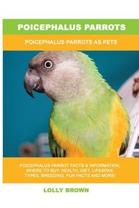 Produktbild: Poicephalus Parrots