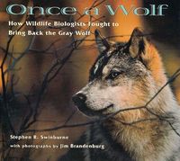 Produktbild: Once a Wolf
