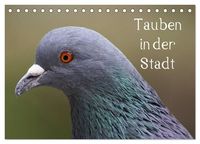 Produktbild: Tauben in der Stadt (Tischkalender 2027 DIN A5 quer), CALVENDO Monatskalender