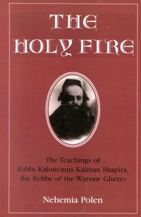Produktbild: The Holy Fire