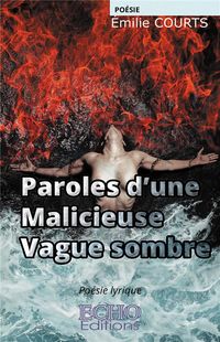 Produktbild: Paroles d une malicieuse vague