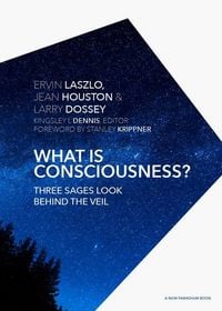 Produktbild: What Is Consciousness?