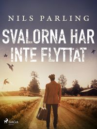 Produktbild: Svalorna har inte flyttat