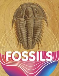 Produktbild: Sipperley, K: Fossils
