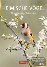 Produktbild: Heimische V&ouml;gel Wochenplaner 2027 - 53 faszinierende Fotografien