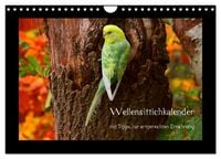 Produktbild: Wellensittichkalender mit Tipps zur artgerechten Ern&auml;hrung (Wandkalender 2026 DIN A4 quer), CALVENDO Monatskalender