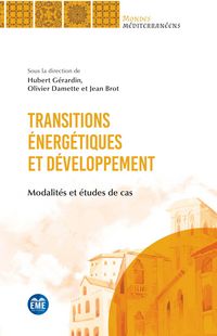 Produktbild: Transitions &eacute;nerg&eacute;tiques et d&eacute;veloppement