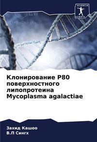 Produktbild: Klonirowanie P80 powerhnostnogo lipoproteina Mycoplasma agalactiae