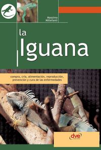 Produktbild: La iguana