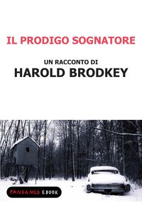 Produktbild: Il prodigo sognatore