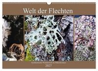 Produktbild: Welt der Flechten (Wandkalender 2027 DIN A3 quer), CALVENDO Monatskalender