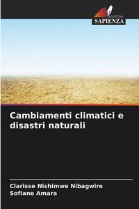 Produktbild: Cambiamenti climatici e disastri naturali
