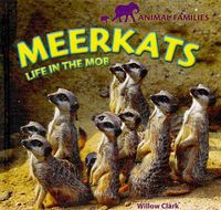 Produktbild: Meerkats