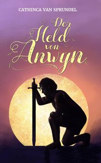 Produktbild: Der Held von Anwyn