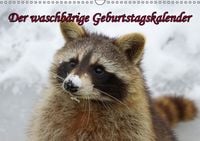 Produktbild: Waschb&auml;ren / Geburtstagskalender (Wandkalender immerw&auml;hrend DIN A3 quer)