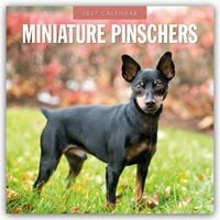 Produktbild: Miniature Pinschers &ndash; Zwergpinscher &ndash; Rehpinscher 2027 &ndash; 16-Monatskalender