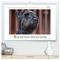 Produktbild: Mit dem Riesenschnauzer durch das Jahr (hochwertiger Premium Wandkalender 2026 DIN A2 quer), Kunstdruck in Hochglanz