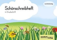 Produktbild: Sch&ouml;nschreibheft in DS