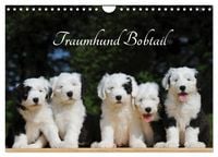 Produktbild: Traumhund Bobtail (Wandkalender 2026 DIN A4 quer), CALVENDO Monatskalender