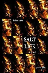 Produktbild: Salt Lick