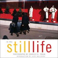 Produktbild: Ballerini, L: In the Still Life