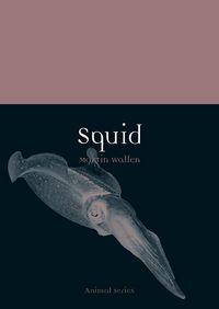 Produktbild: Squid