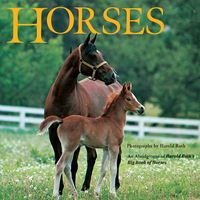 Produktbild: Horses
