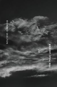 Produktbild: The Pale Ladder