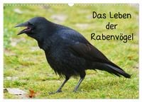 Produktbild: Das Leben der Rabenv&ouml;gel (Wandkalender 2026 DIN A3 quer), CALVENDO Monatskalender