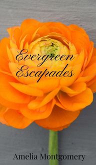 Produktbild: Evergreen Escapades