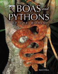 Produktbild: Boas and Pythons of the World