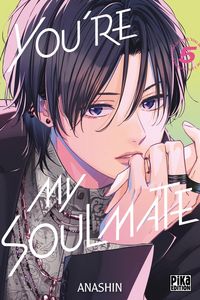 Produktbild: You're my soulmate. Tome 5