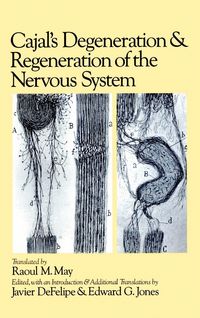 Produktbild: Cajal's Degeneration Hn C